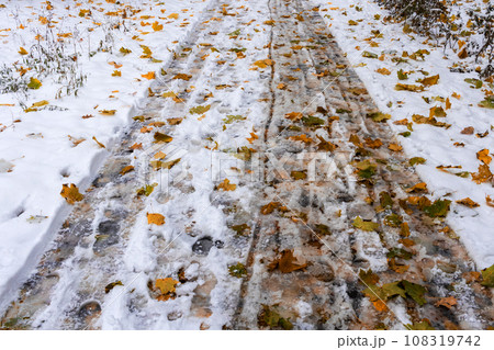 Fallen yellow leaves on first wet snow. An autumn road going away into distance 108319742