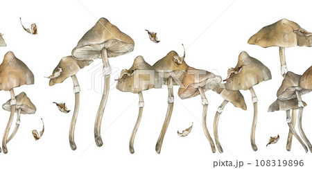 Watercolor seamless border with poisonous mushrooms. withered dry leaves. Family of inedible dangerous mushrooms hand drawn illustration. Toadstool white toadstool. Decor for halloween in retro style Watercolor seamless border with poisonous mushrooms. withered dry leaves. Family of inedible dangerous mushrooms hand drawn illustration. Toadstool white toadstool. Decor for halloween in retro style 108319896