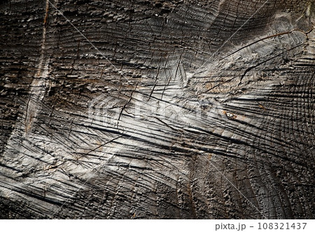detail of old wood with cuts 108321437