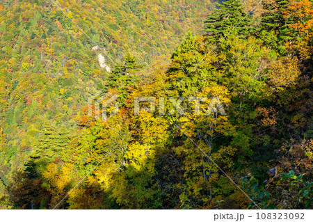 二口峠から見る紅葉する山々 二口峠から見る紅葉する山々 108323092