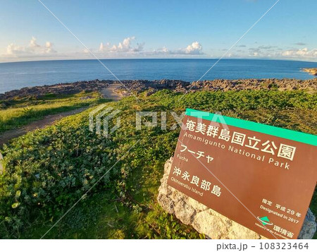 沖永良部島のフーチャ 108323464