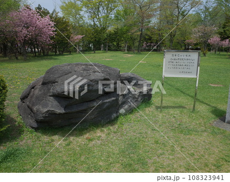 寝牛石の風景_札幌護国神社 108323941
