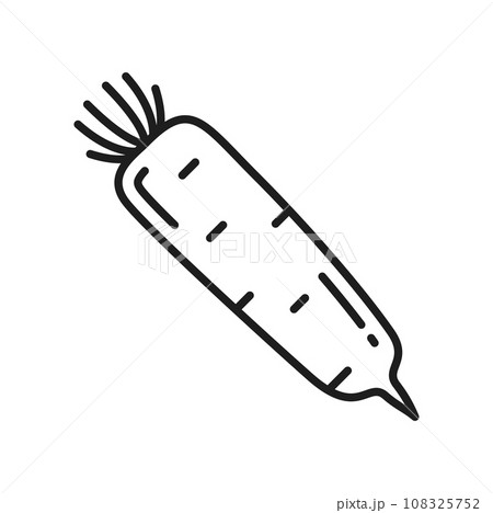 White radish isolated daikon vegetable root thin line icon. Vector fresh veggie with stem, chai tow ingredient. Horseradish rhizome plant White radish isolated daikon vegetable root thin line icon. Vector fresh veggie with stem, chai tow ingredient. Horseradish rhizome plant 108325752