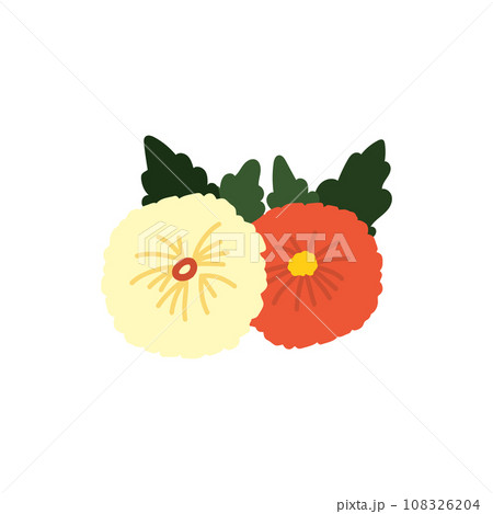 菊花かぶ 108326204