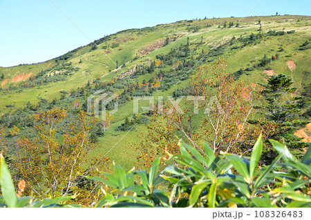 紅葉の季節　秋　志賀草津高原ルートからの風景　　　　　 108326483