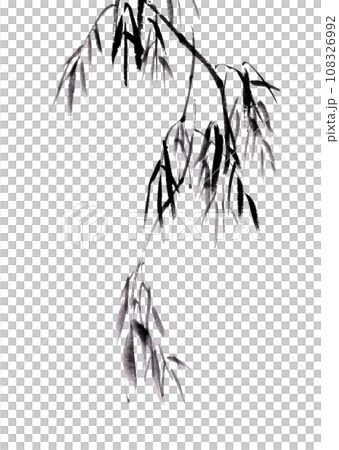 水墨画技法で描いた柳の枝のイラスト素材 [108326992] - PIXTA