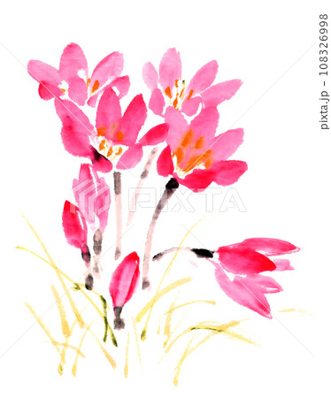 水墨画技法で描いたコルチカム① 水墨画技法で描いたコルチカム① 108326998