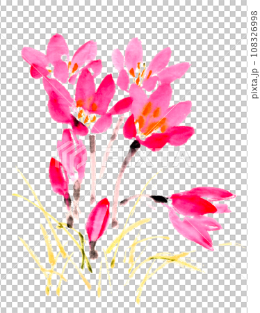 水墨画技法で描いたコルチカム① 水墨画技法で描いたコルチカム① 108326998