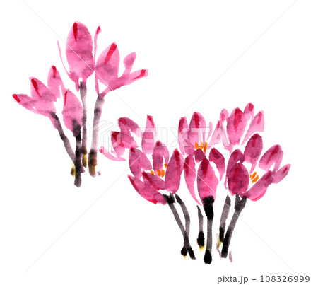 水墨画技法で描いたコルチカム② 水墨画技法で描いたコルチカム② 108326999