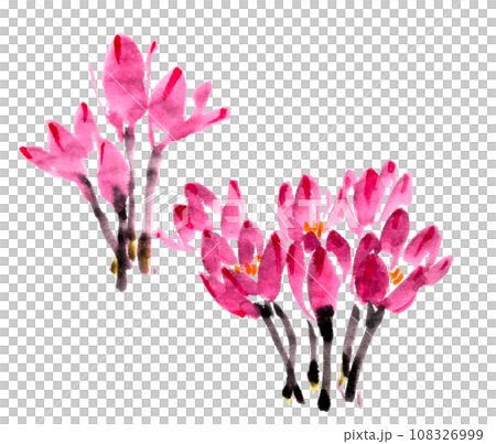 水墨画技法で描いたコルチカム② 水墨画技法で描いたコルチカム② 108326999