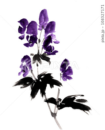 水墨画技法で描いたトリカブト 水墨画技法で描いたトリカブト 108327171