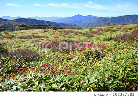 山田峠から万座温泉ルート付近　志賀草津高原　秋模様　　　　　 108327582