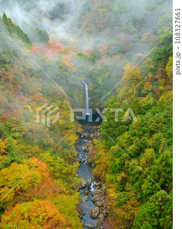 静岡_大棚の滝と紅葉の絶景風景 108327661