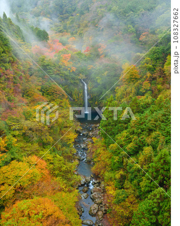 静岡_大棚の滝と紅葉の絶景風景 108327662