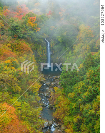 静岡_大棚の滝と紅葉の絶景風景 静岡_大棚の滝と紅葉の絶景風景 108327664