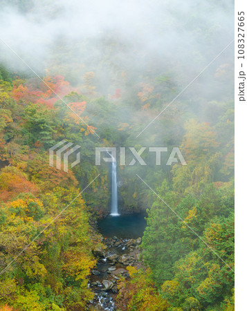 静岡_大棚の滝と紅葉の絶景風景 108327665
