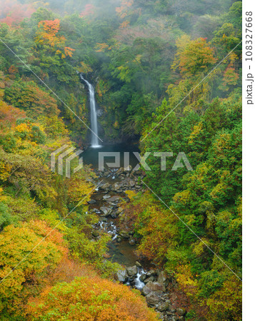 静岡_大棚の滝と紅葉の絶景風景 108327668