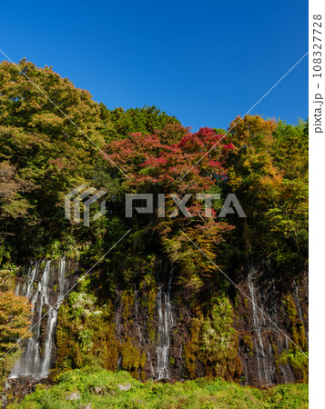静岡_白糸の滝と紅葉の風景 108327728