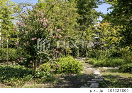 日本庭園　有楽苑の内部 108328806