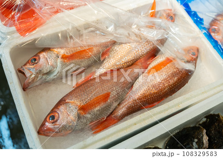 ノドグロ、のどぐろ、アカムツ、魚 ノドグロ、のどぐろ、アカムツ、魚 108329583