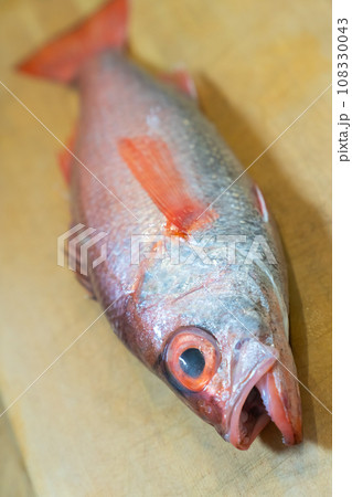 ノドグロ、のどぐろ、アカムツ、魚 ノドグロ、のどぐろ、アカムツ、魚 108330043