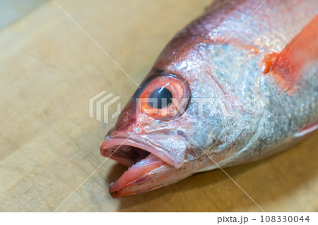 ノドグロ、のどぐろ、アカムツ、魚 ノドグロ、のどぐろ、アカムツ、魚 108330044