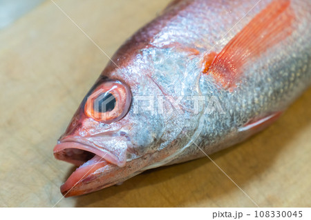 ノドグロ、のどぐろ、アカムツ、魚 ノドグロ、のどぐろ、アカムツ、魚 108330045