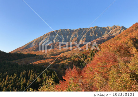 大山鍵掛峠の紅葉 6 大山鍵掛峠の紅葉 6 108330101