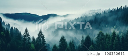 Fog conceals details of mountains with trees inviting greater sense of wonder with mystery 108330611
