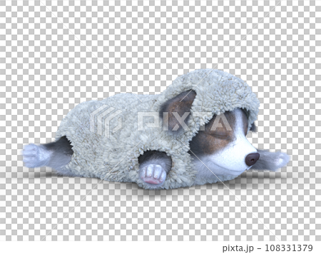 Welsh Corgi Pembroke 108331379
