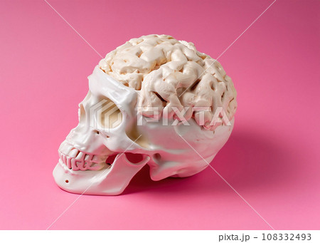 Skull with cauliflower brain against vivid pink background Skull with cauliflower brain against vivid pink background 108332493