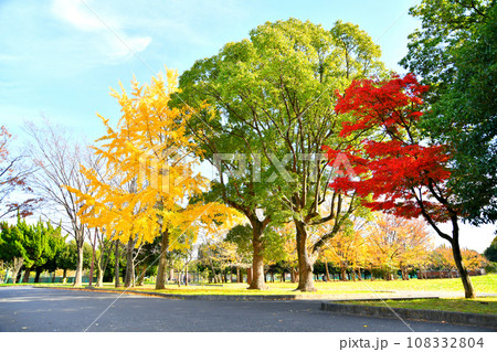 都立 篠崎公園A地区(東京都江戸川区)【2021.11】 108332804