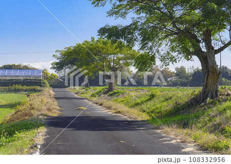 田舎の農道 108332956