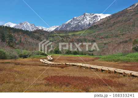 晩秋の栂池自然園からの白馬三山の眺め 108333241