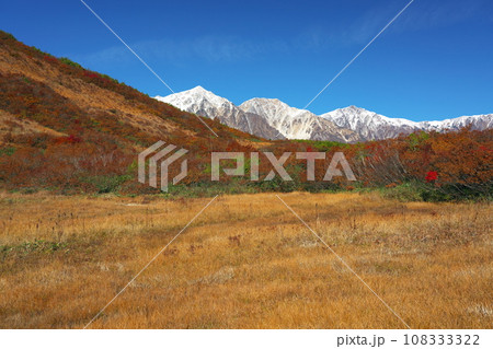 八方尾根の黒菱平鎌池湿原の紅葉と白馬三山 108333322