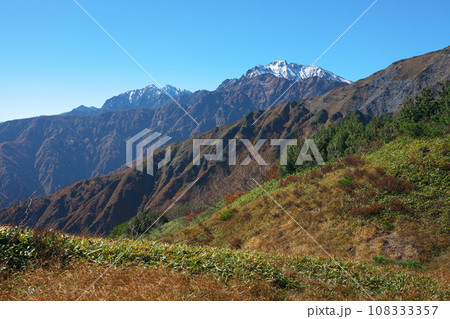 爺ヶ岳、鹿島槍ヶ岳、五竜岳を望む八方尾根の紅葉 108333357