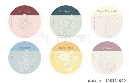 ハーブのラベル・草花・ローズマリー・ラベンダー・ユーカリ・クラリセージ・イランイラン・カモミール 108334060