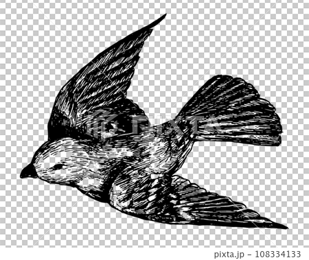 復古線畫撲騰的鳥 108334133