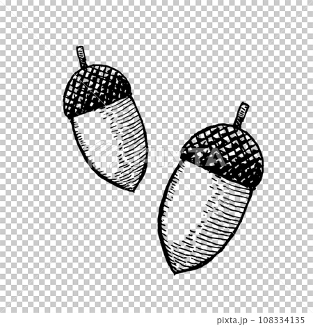 Hand drawn acorn retro illustration Hand drawn acorn retro illustration 108334135