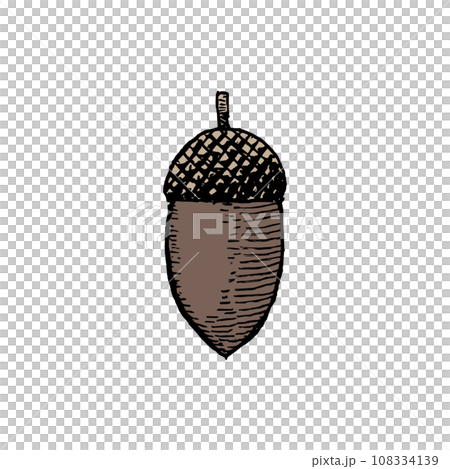 手描きのどんぐりのレトロなイラスト 108334139