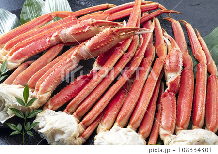 ボイルした美味しいズワイガニ 108334301