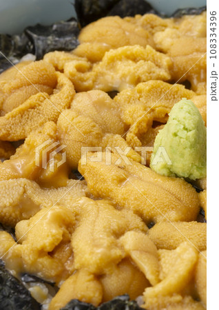 新鮮で美味しいウニ 新鮮で美味しいウニ 108334396