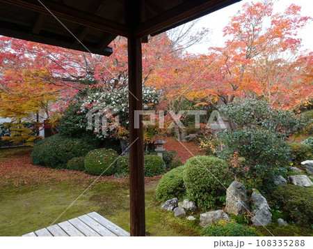 京都の紅葉をめぐる 源光庵編 京都の紅葉をめぐる 源光庵編 108335288