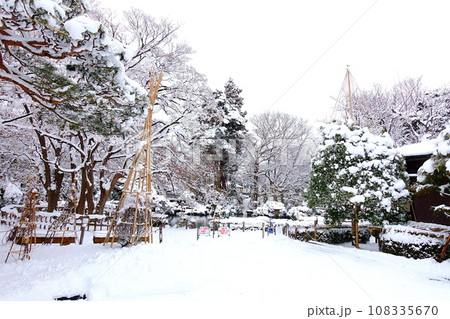 雪景色　冬景色　雪囲い　もみじ公園　山形市 108335670