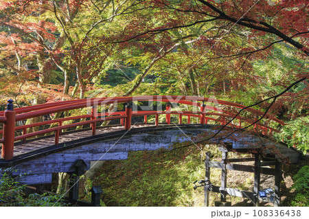 伊香保温泉　河鹿橋　紅葉 108336438