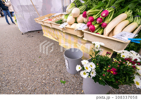 231026宮川朝市s063-2 108337058