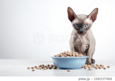 cat sitting with a heap bowl of cat food on white background. Generative AI 108337460