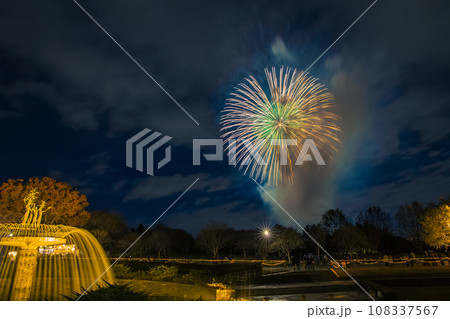 噴水のライトアップと花火 昭和記念公園 噴水のライトアップと花火 昭和記念公園 108337567