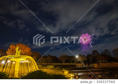 噴水のライトアップと花火 昭和記念公園 噴水のライトアップと花火 昭和記念公園 108337568