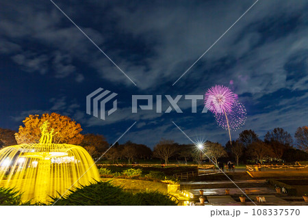 噴水のライトアップと花火 昭和記念公園 噴水のライトアップと花火 昭和記念公園 108337570